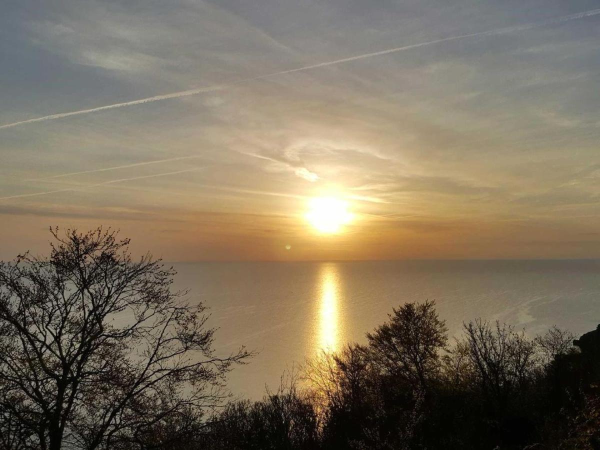 Babbacombe Palms Hotel Torquay Exterior foto